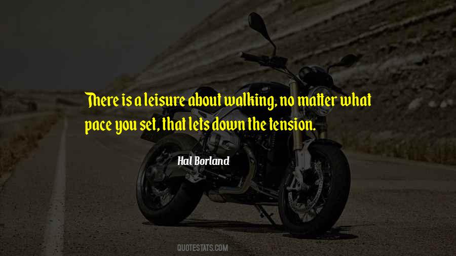 Stalking Woman Quotes #1747953
