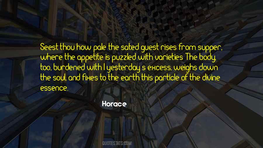 Soul Essence Quotes #1245227