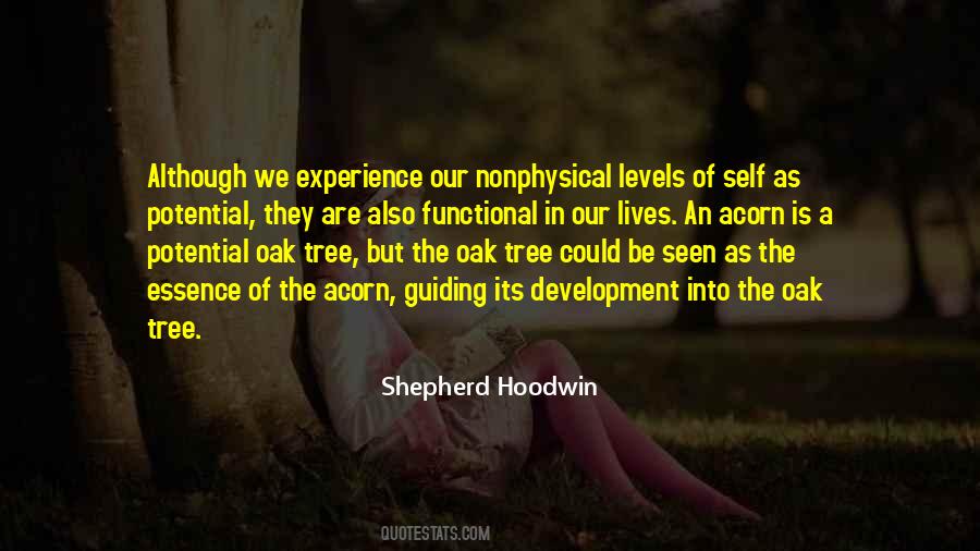 Soul Essence Quotes #218731