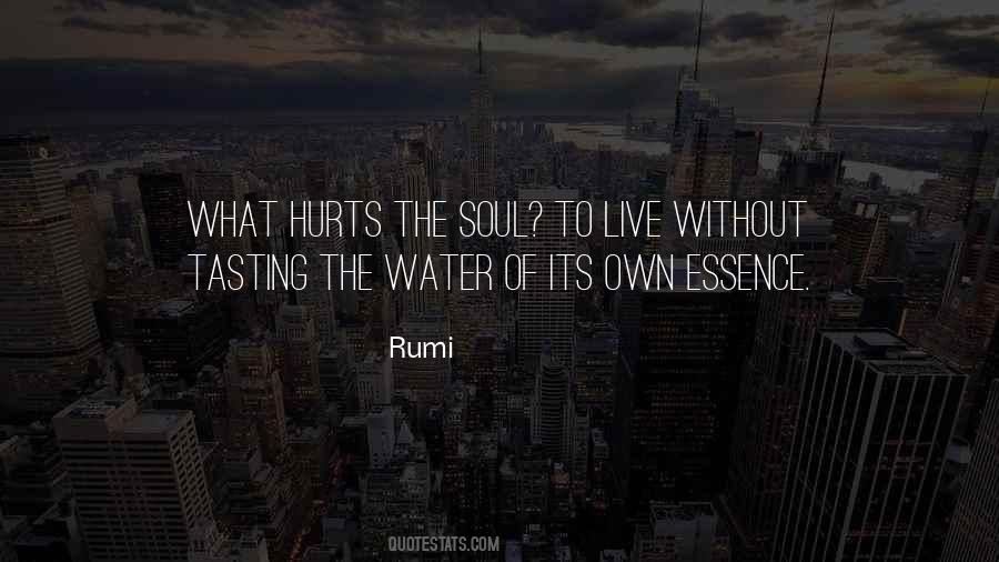 Soul Essence Quotes #278080
