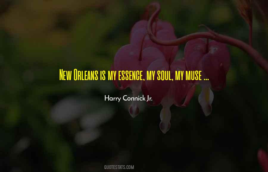 Soul Essence Quotes #381479