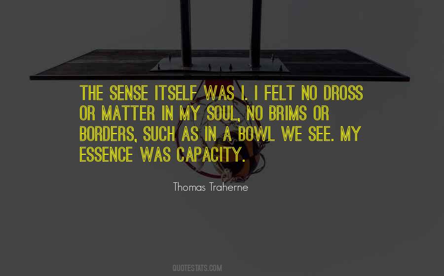 Soul Essence Quotes #679581