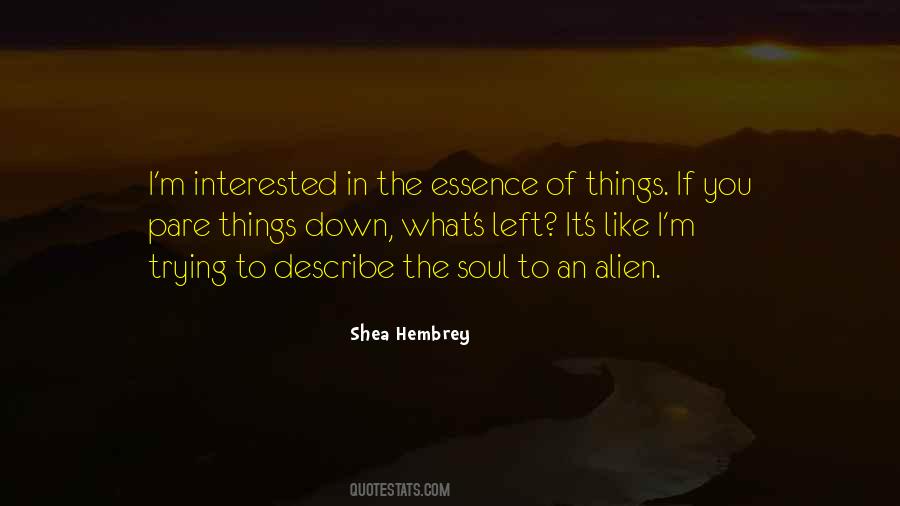 Soul Essence Quotes #683983