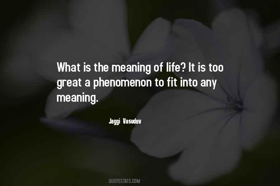 What Is The Meaning Quotes #392497