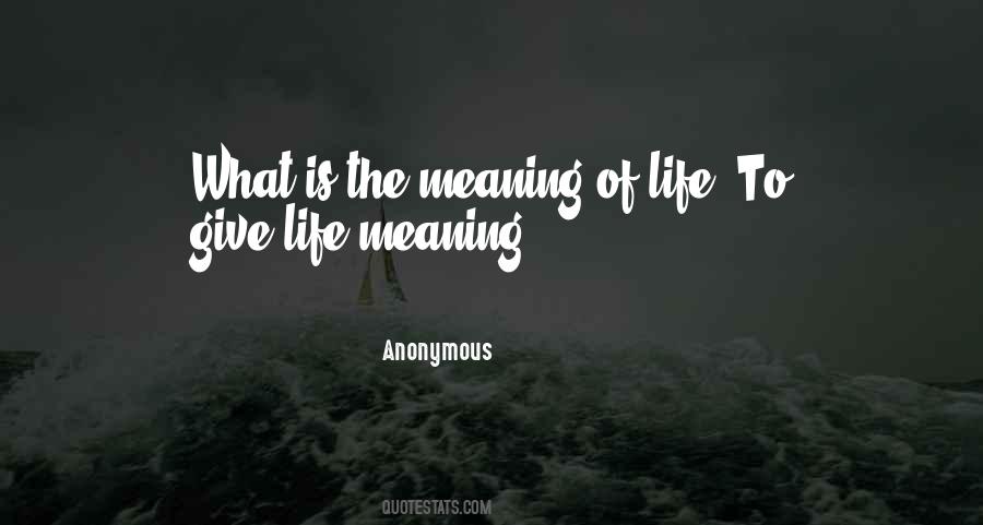 What Is The Meaning Quotes #594101