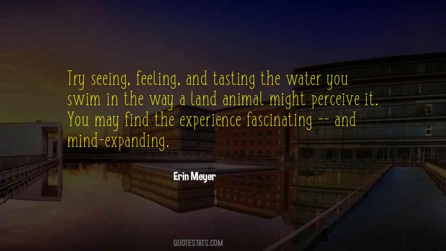 Environmental Values Quotes #105719