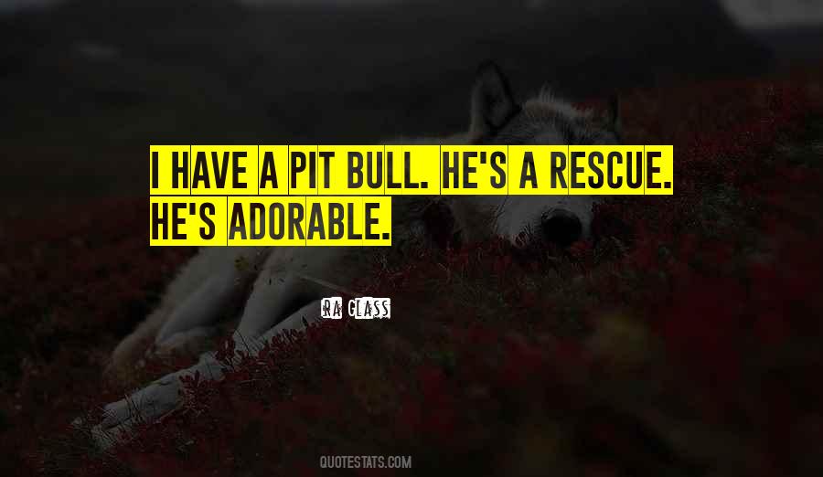 Pit Bull Quotes #695472