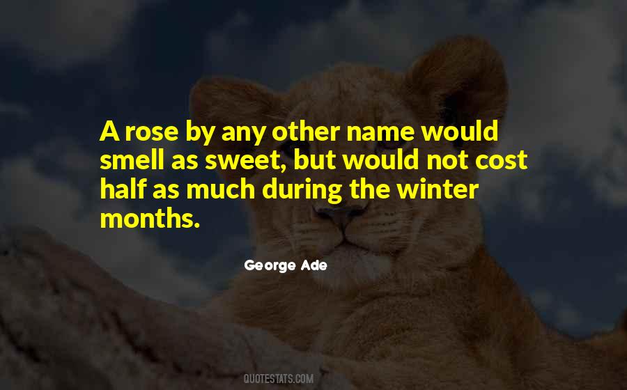 Winter Months Quotes #1129116