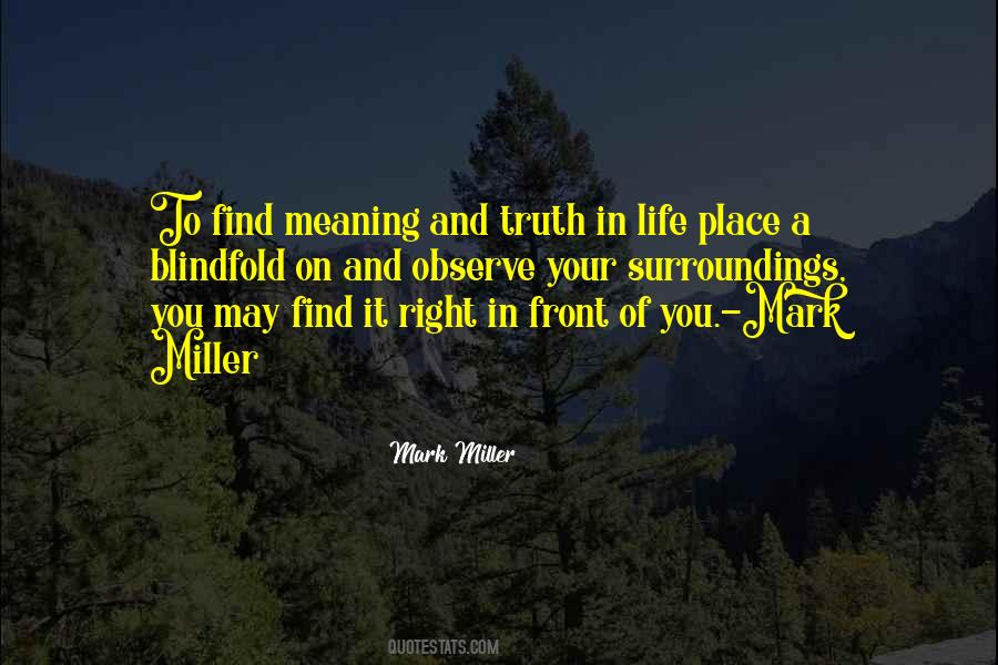 Your Surroundings Quotes #1791506