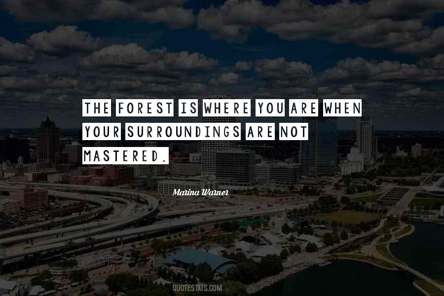 Your Surroundings Quotes #887557