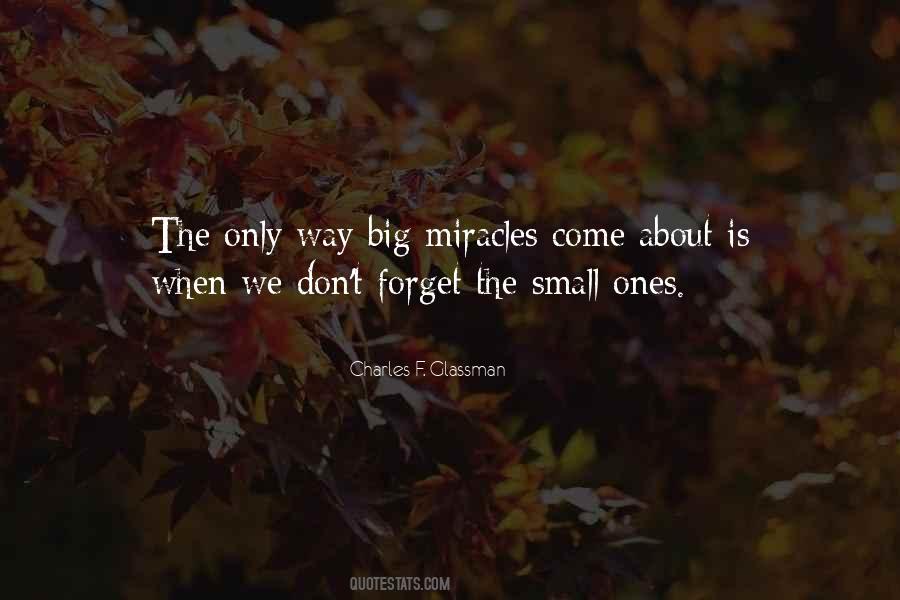 Small Miracles Quotes #1083038