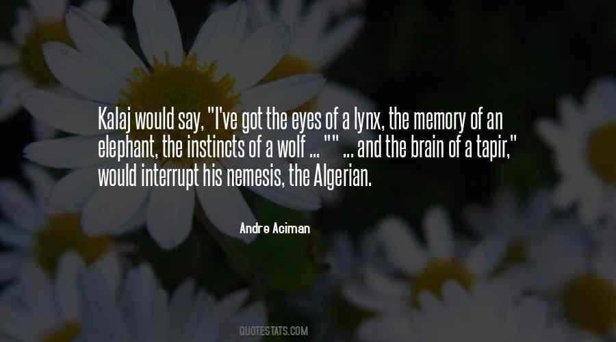 Elephant The Quotes #1655282