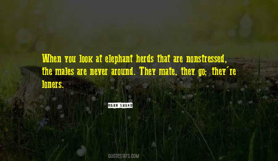 Elephant The Quotes #210621