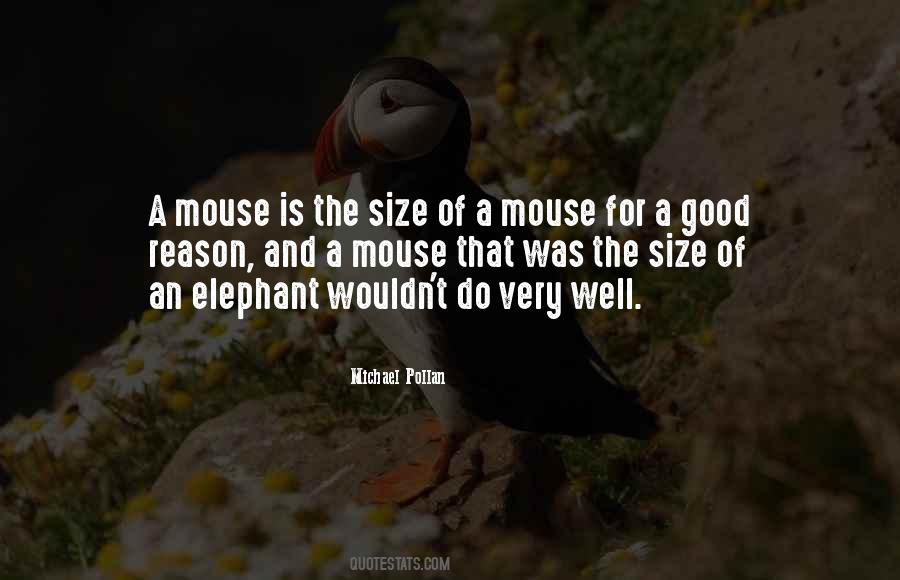 Elephant The Quotes #48720