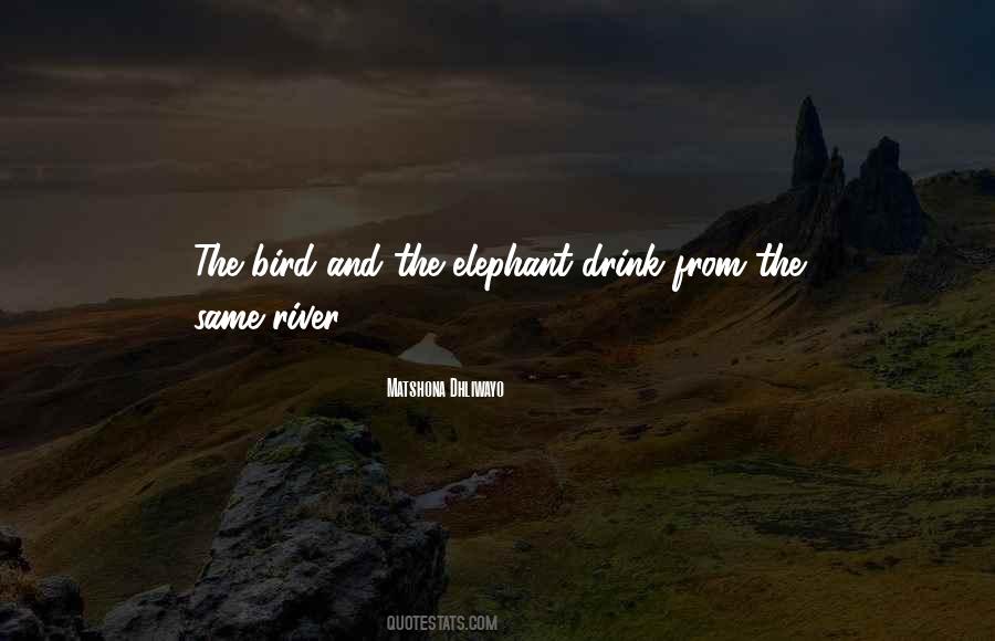 Elephant The Quotes #92122