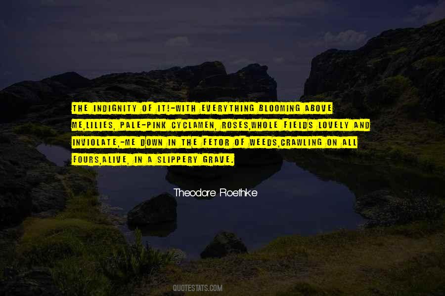 True Brotherhood Quotes #295890