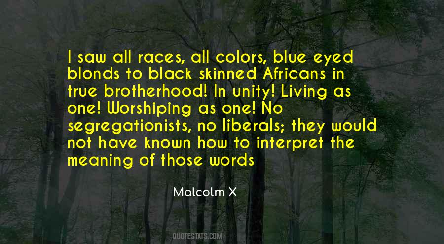 True Brotherhood Quotes #575386