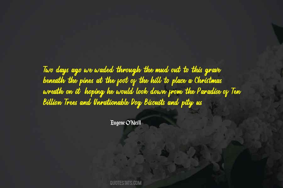 20 Days Until Christmas Quotes #1800985
