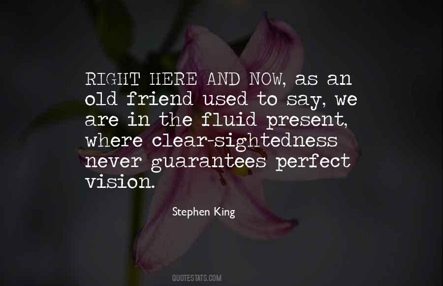 Perfect Vision Quotes #1301453
