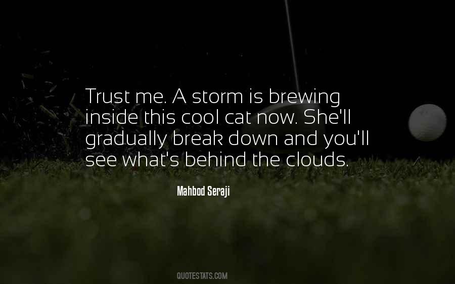 Storm Is Brewing Quotes #867013