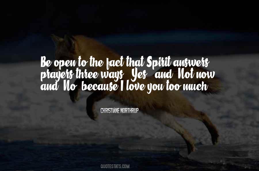 I Love You Too Much Quotes #152506
