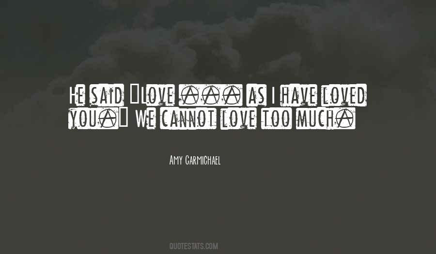 I Love You Too Much Quotes #749308