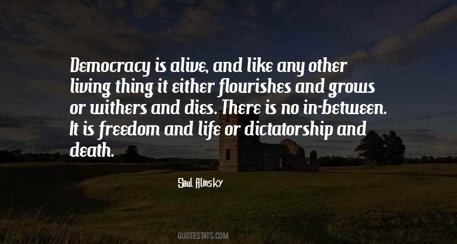 Democracy Freedom Quotes #128083