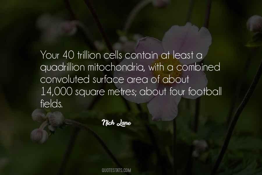 40 Plus Quotes #44027