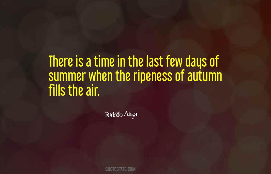 5 Days Of Summer Quotes #43183