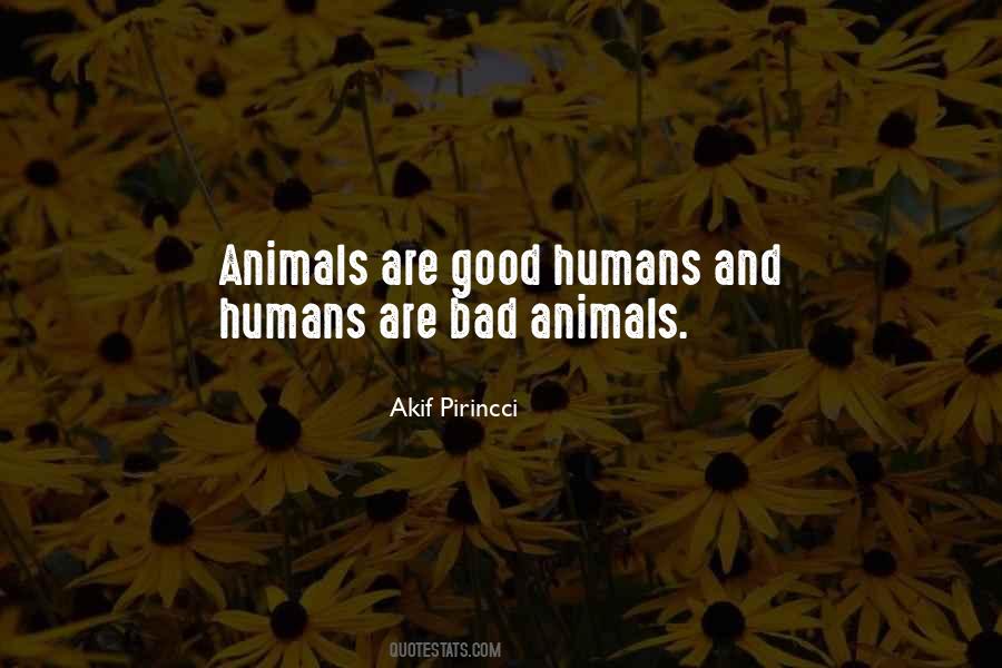 Animals Humans Quotes #264324