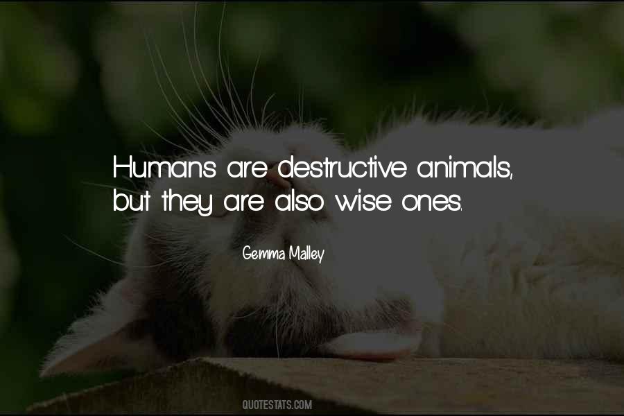 Animals Humans Quotes #550526