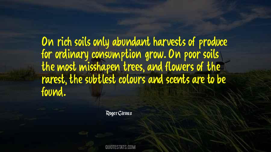Think Rich Grow Rich Quotes #946493