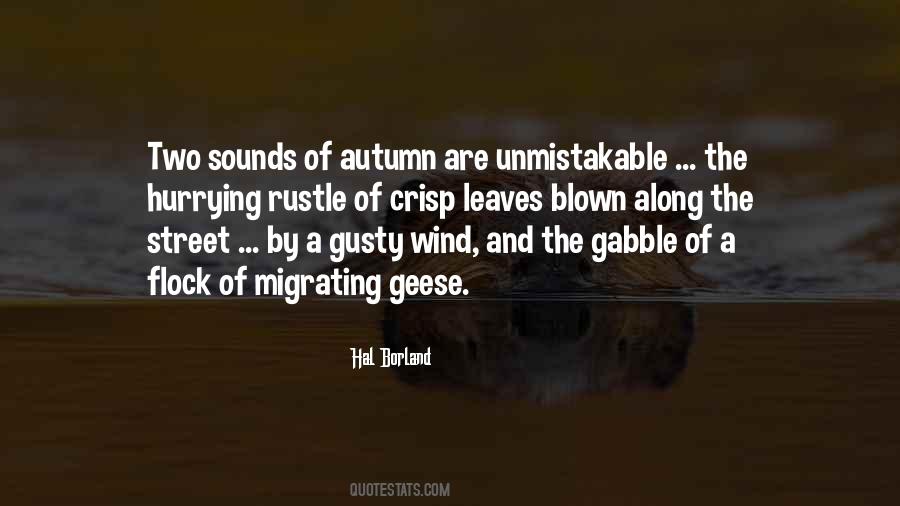 Gusty Wind Quotes #710538