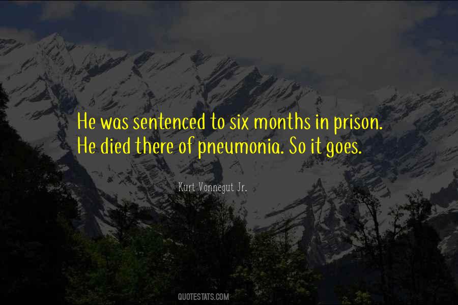 6 Months Since You Died Quotes #162058