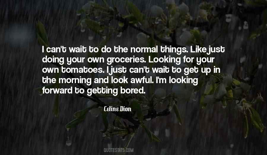 Quotes About Normal Things #958983