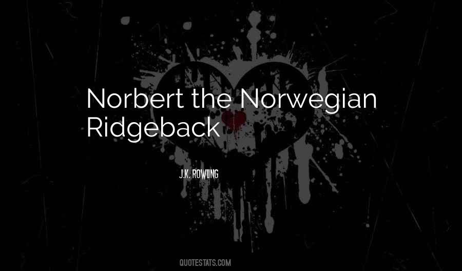 Quotes About Norbert #1334823