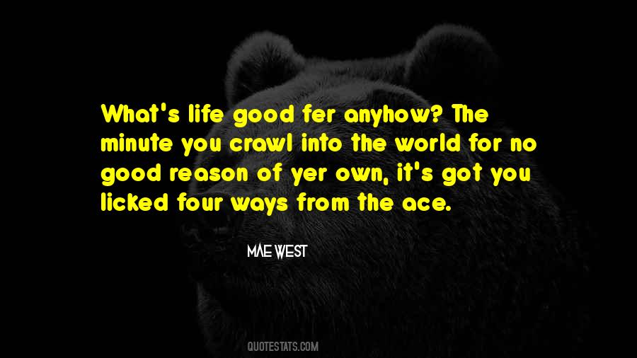 8 Ace Viz Quotes #198792