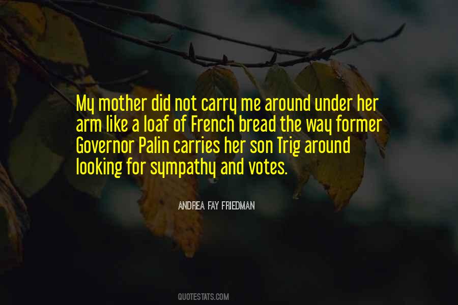 Arms Of A Mother Quotes #1270082