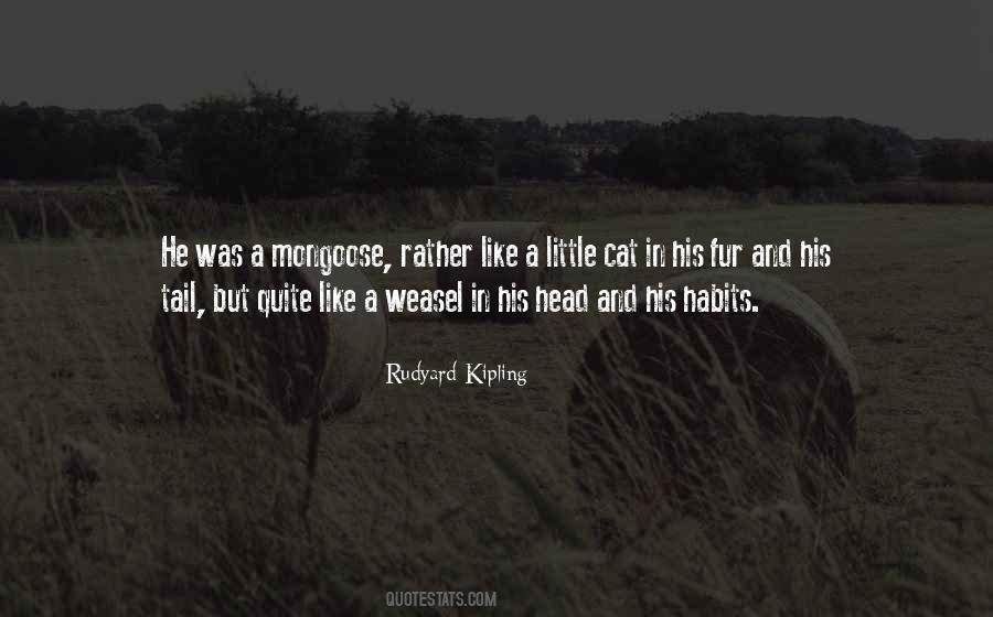 Visions Of Death Quotes #303141