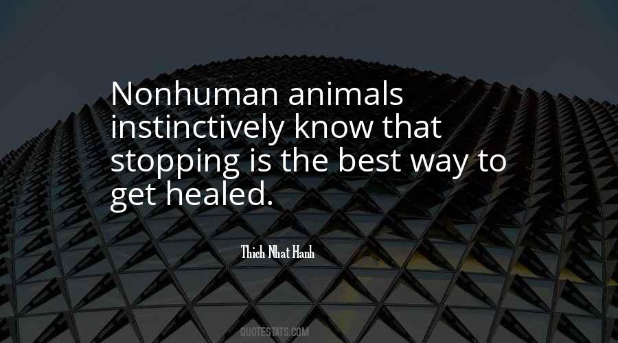 Quotes About Nonhuman #613304