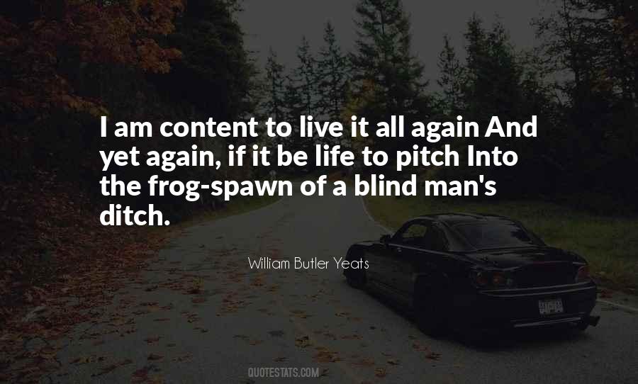 A Blind Man Quotes #446035
