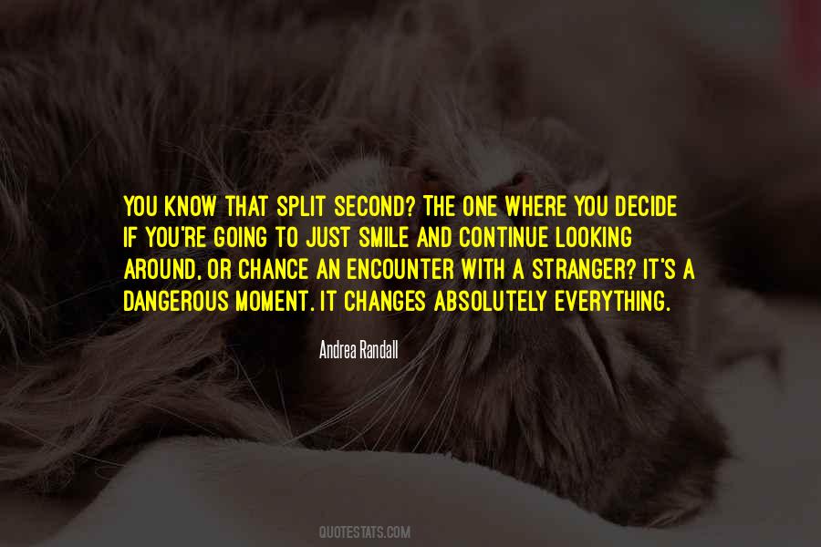 A Chance Encounter Quotes #1401243