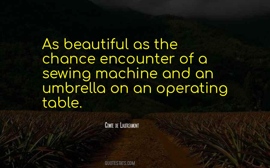 A Chance Encounter Quotes #1415797