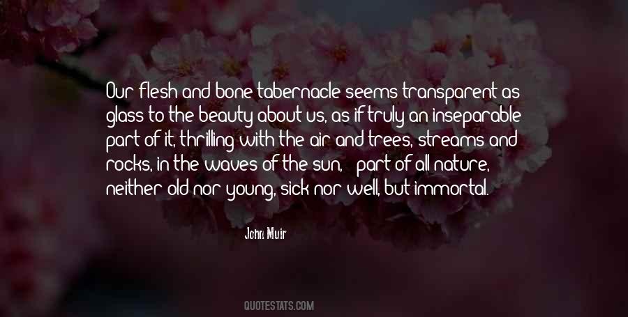 John Muir Nature Quotes #1260997