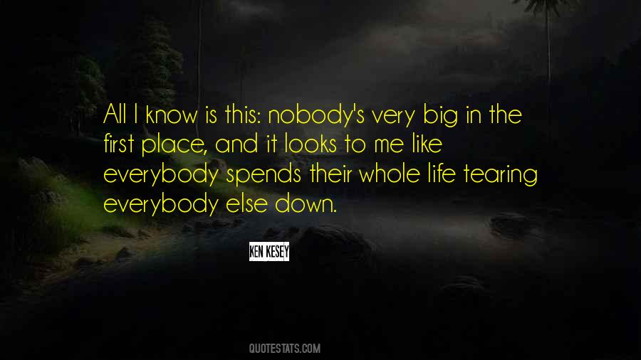 Quotes About Nobody Like Me #348106