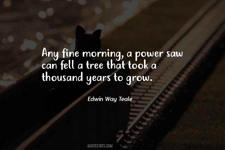 A Fine Morning Quotes #586686
