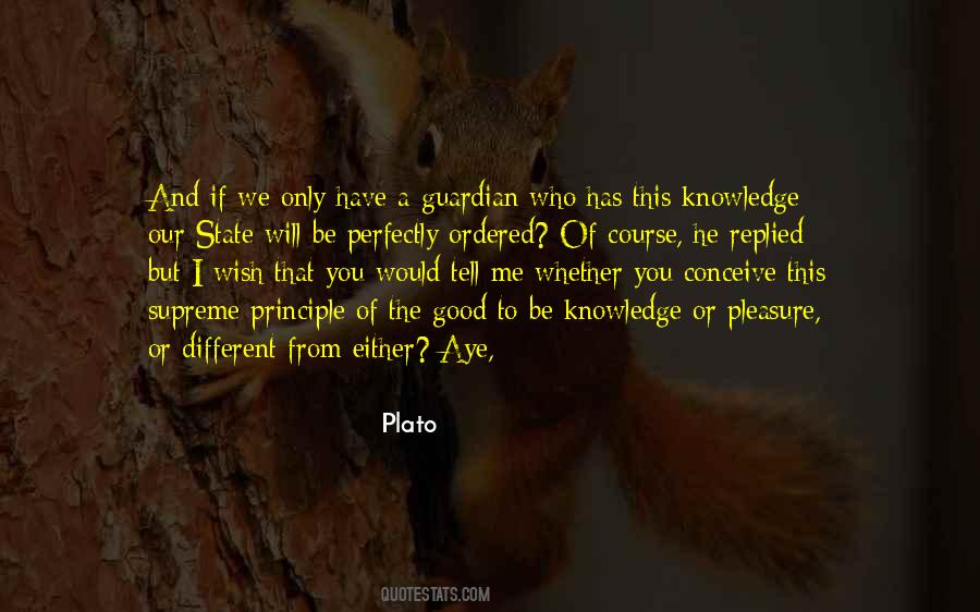 A Good Wish Quotes #19835