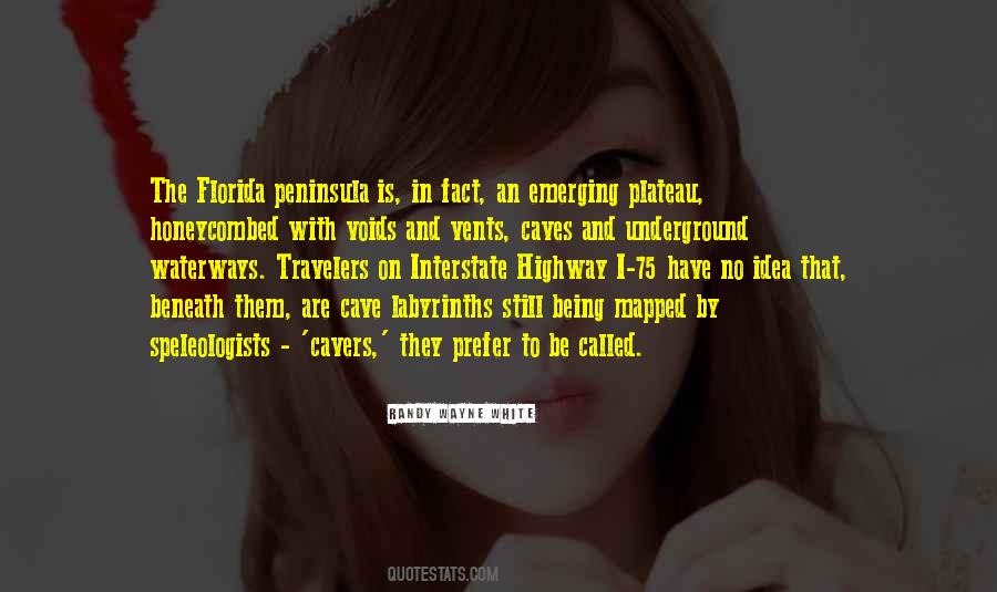 Cocomellone Quotes #1715026