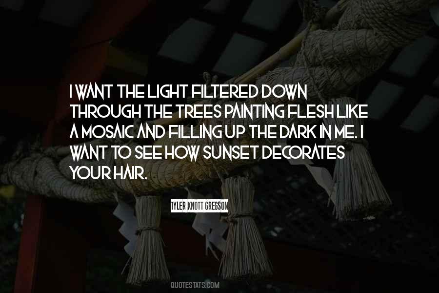A Light In The Dark Quotes #392639