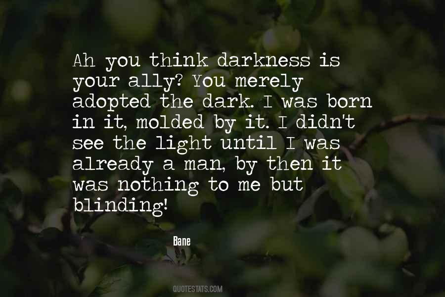 A Light In The Dark Quotes #547493